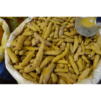 Common Turmeric Finger Turmeric Finger03-8073588-33724.webp